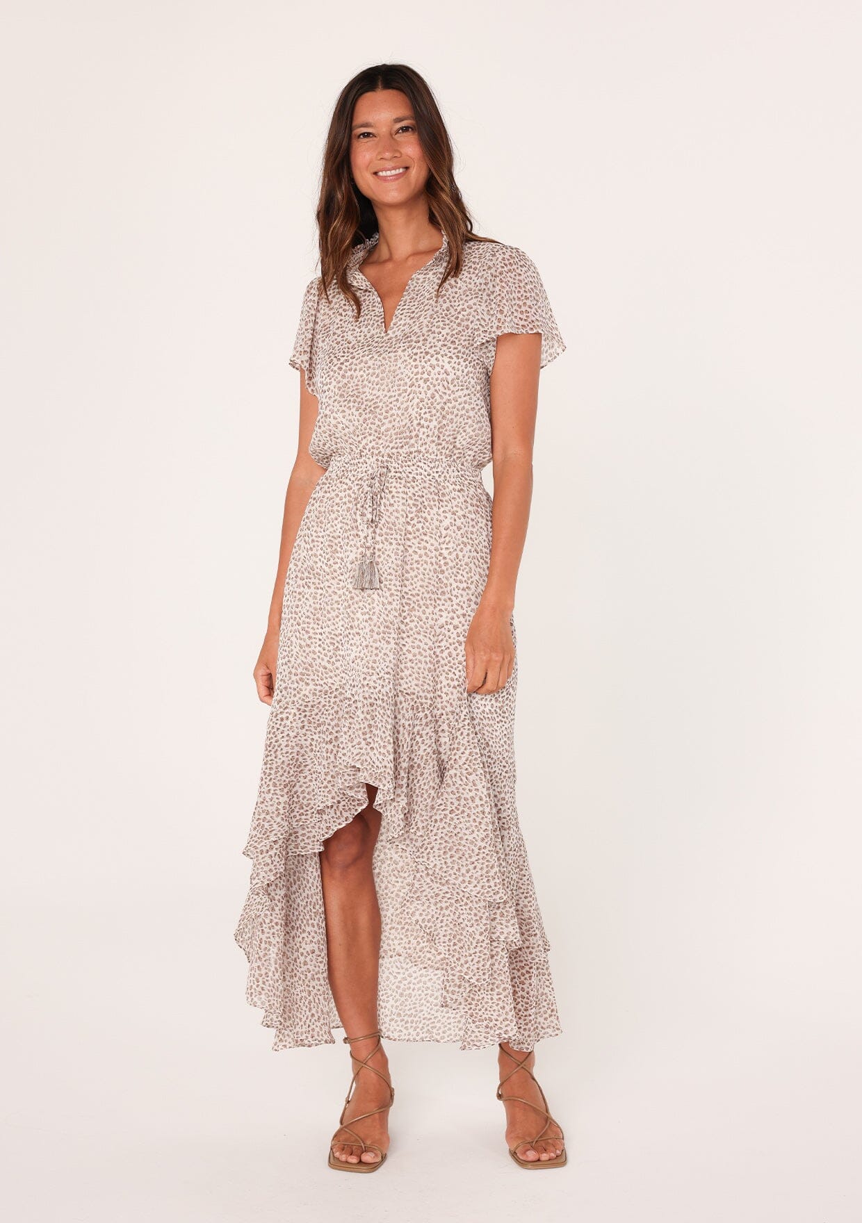 Alessia Animal Print Maxi Dress